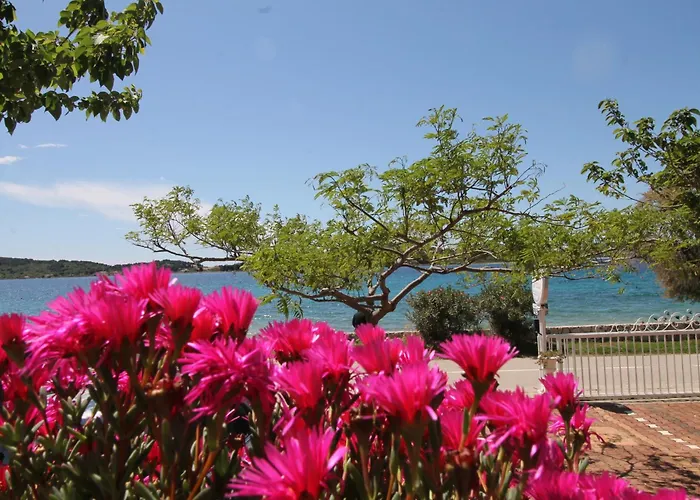 Villa Aurelia Vodice