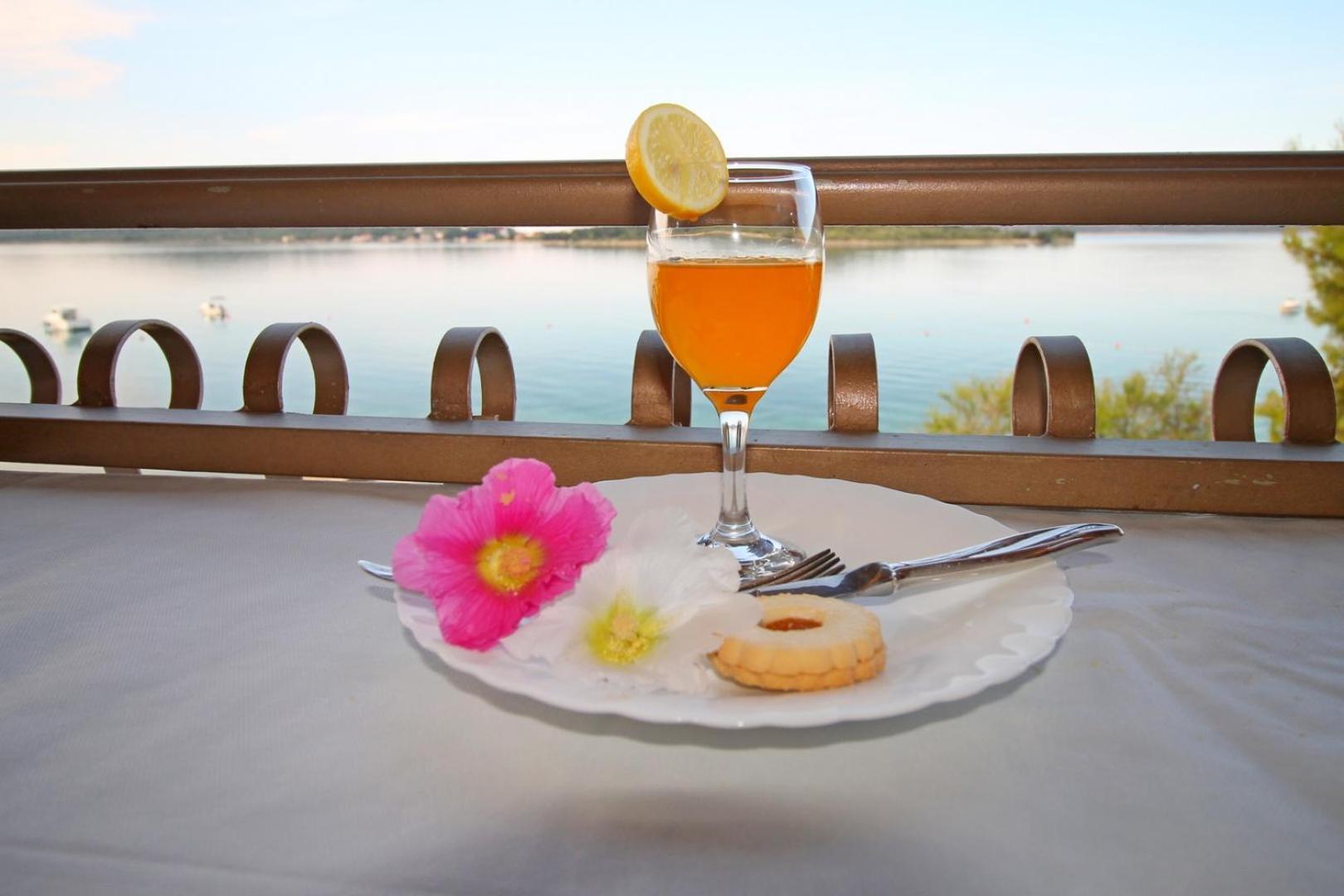 Aurelia Vodice