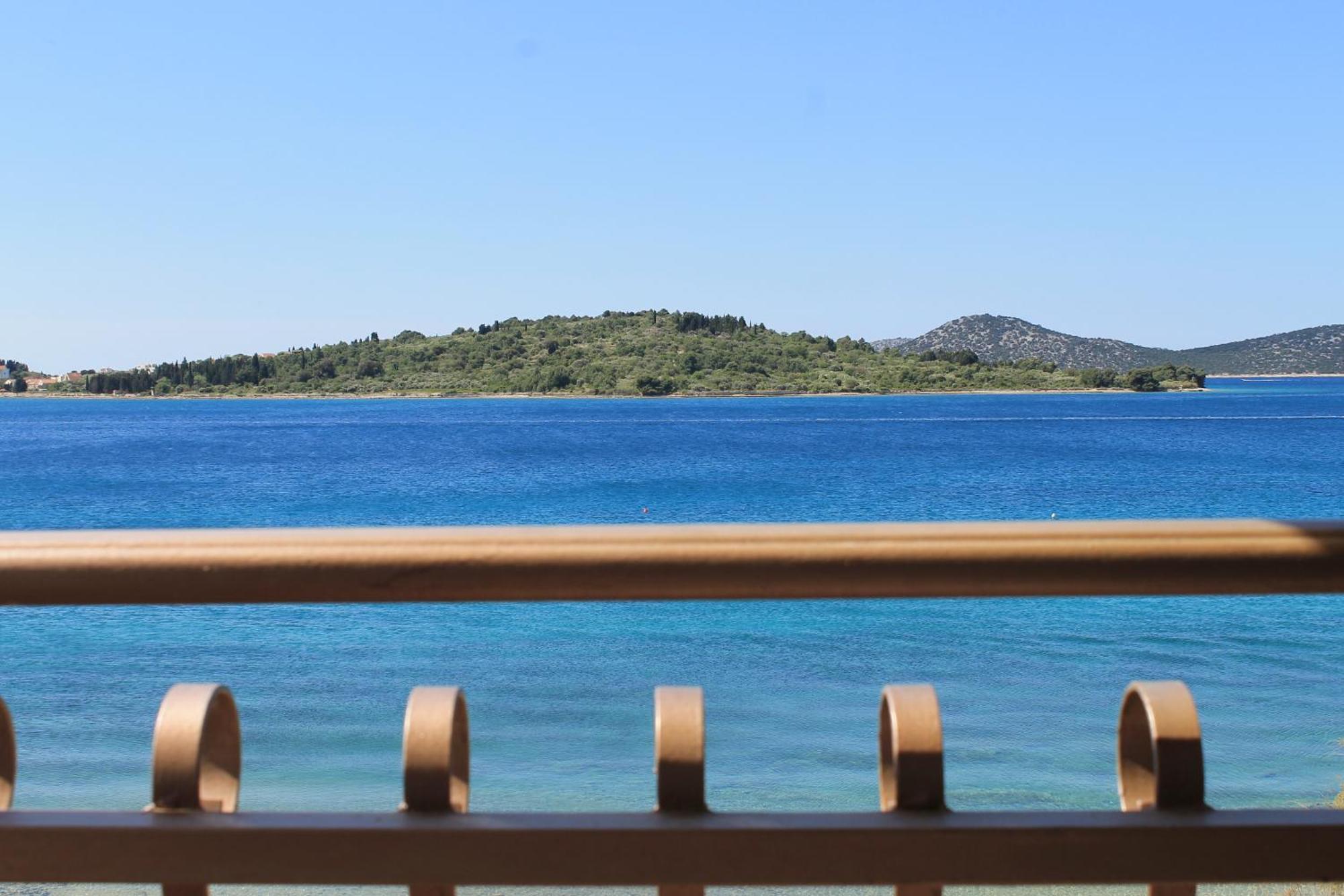 Aurelia Vodice