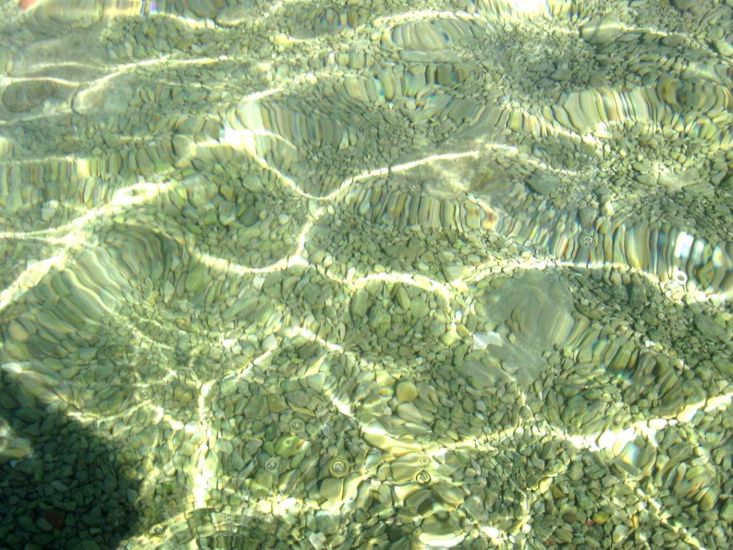 Aurelia * Vodice